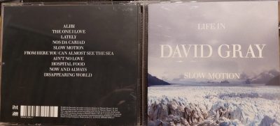 David Gray- Life in Slow motion