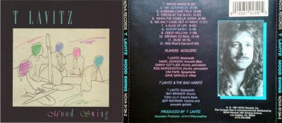 T Lavitz – Mood Swing