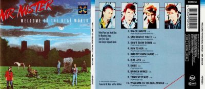 Mr. Mister – Welcome To The Real World